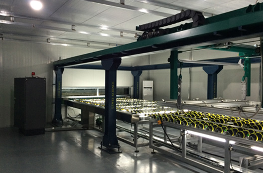 Surface Pretreatment